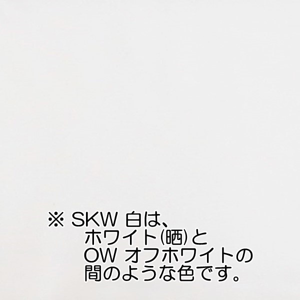 ���� ��������̵�� DC1125