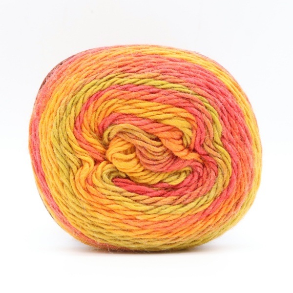 �ɥ꡼��ץ�ߥ��� �����ӥ󥰥����