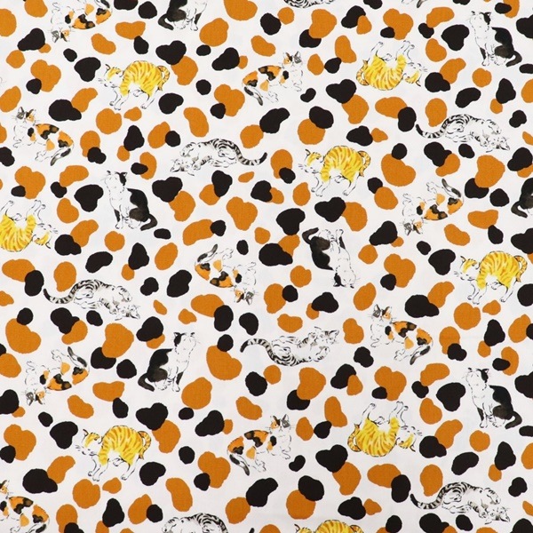 ���� �ͤ������å����ץ��� ����ǭ����ǭ�� DR11710-3