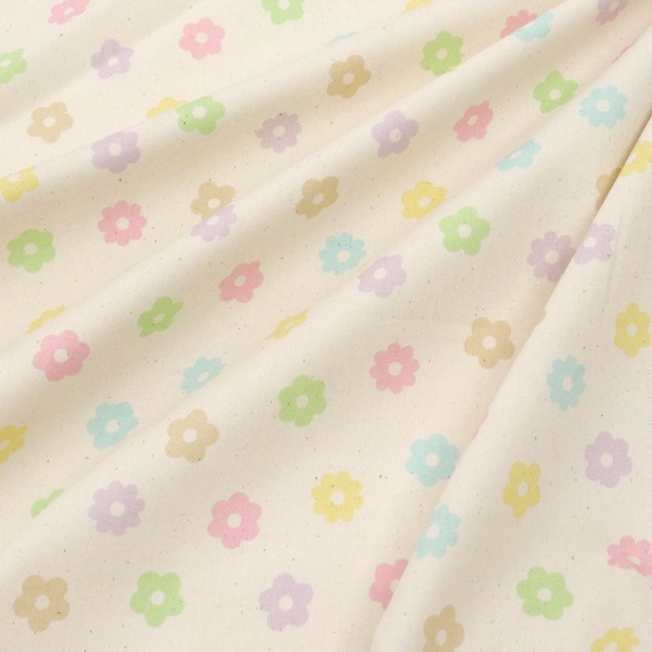 ���� �ե����å��� 2025 �������� DR2409-9