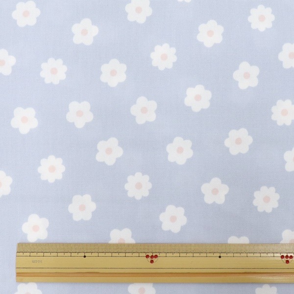 ���� �ե����å��� 2025 �������� DR2409-9