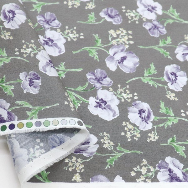 ���� ���쥤�å���ե��֥����ɥץ��� �ե��� DR11700-1