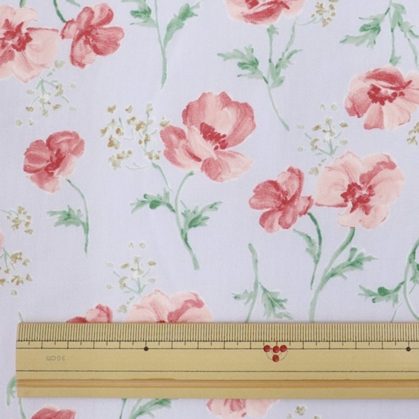 ���� ���쥤�å���ե��֥����ɥץ��� �ե��� DR11700-1