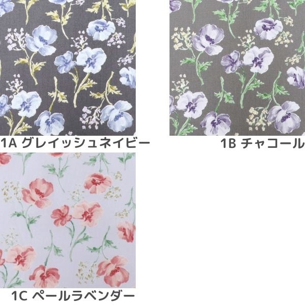 ���� ���쥤�å���ե��֥����ɥץ��� �ե��� DR11700-1