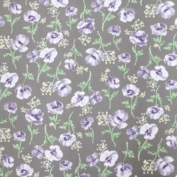 ���� ���쥤�å���ե��֥����ɥץ��� �ե��� DR11700-1