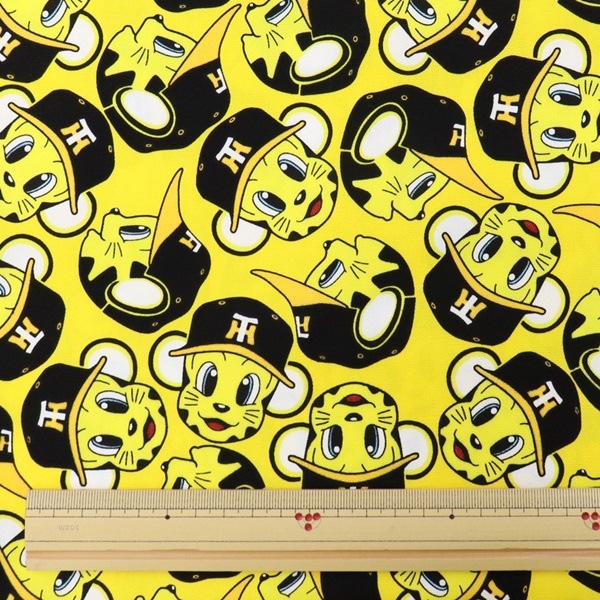 ���� �����������ȥ�å��������å��� A6100