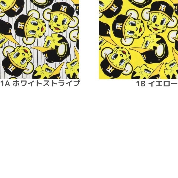 ���� �����������ȥ�å��������å��� A6100