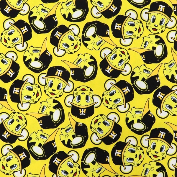 ���� �����������ȥ�å��������å��� A6100