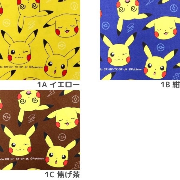 ピカチュウいろいろ 12_000000020248.jpg?1729832722
