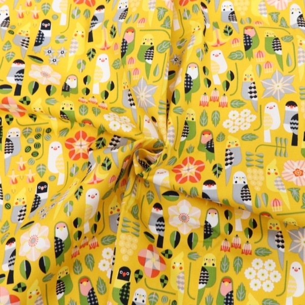 ���� KOTORITACHI(��Ļ����) ���å����ץ��� �֤�Ϣ�ʤ뾮Ļã ��50cm���åȥ�������