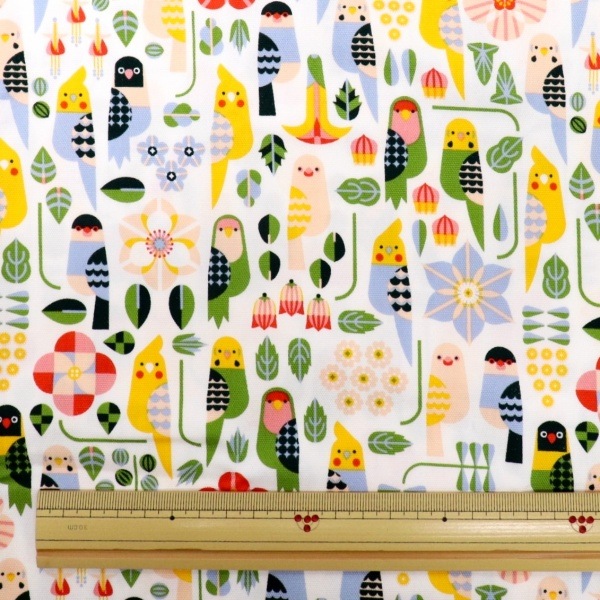 ���� KOTORITACHI(��Ļ����) ���å����ץ��� �֤�Ϣ�ʤ뾮Ļã ��50cm���åȥ�������