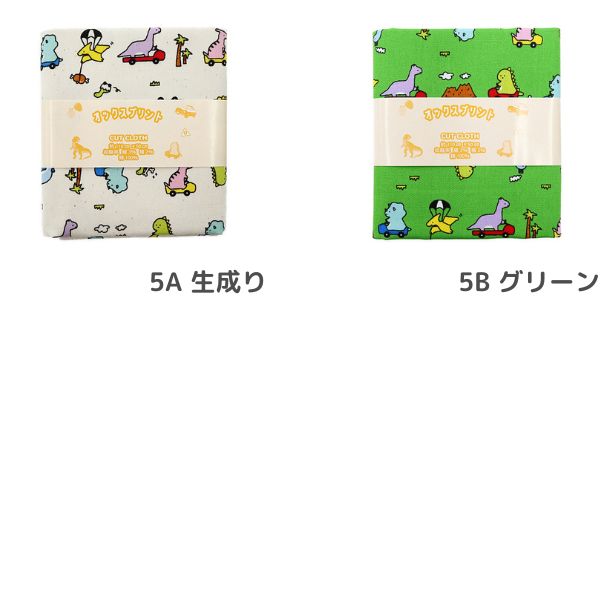 ���� ��ε���å��� 2025 �������� ��50cm���åȥ������� DR2409C-5