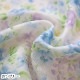 �����ò���ʬ������ ���֥륬�����ץ��ȡ���̥��å�����