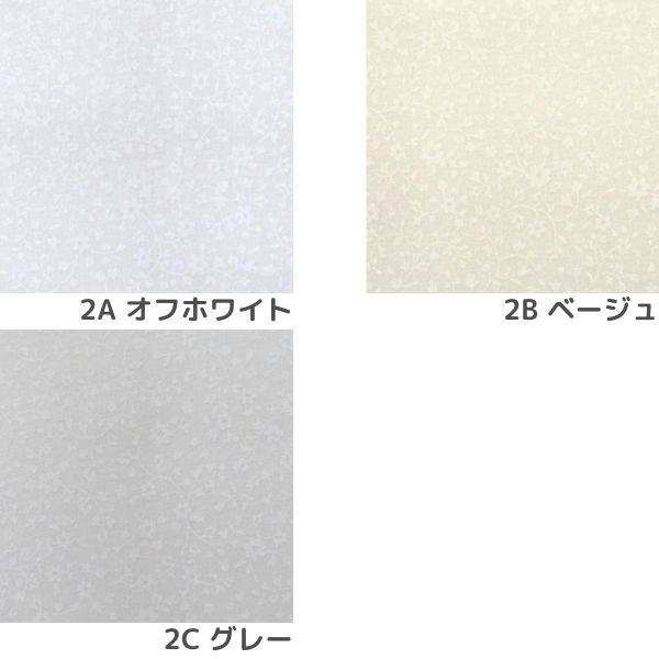 ���� ����������å����ץ��� ������ DC51807-2