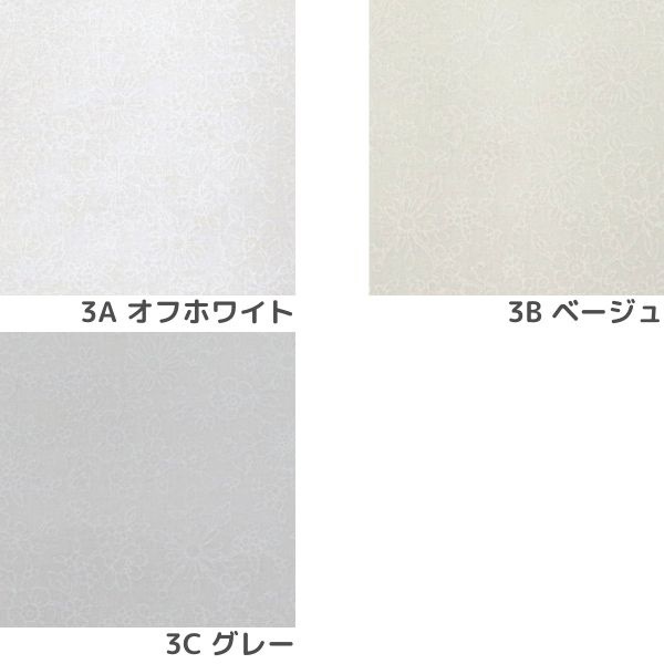 ���� ����������å����ץ��� ���� DC51807-3