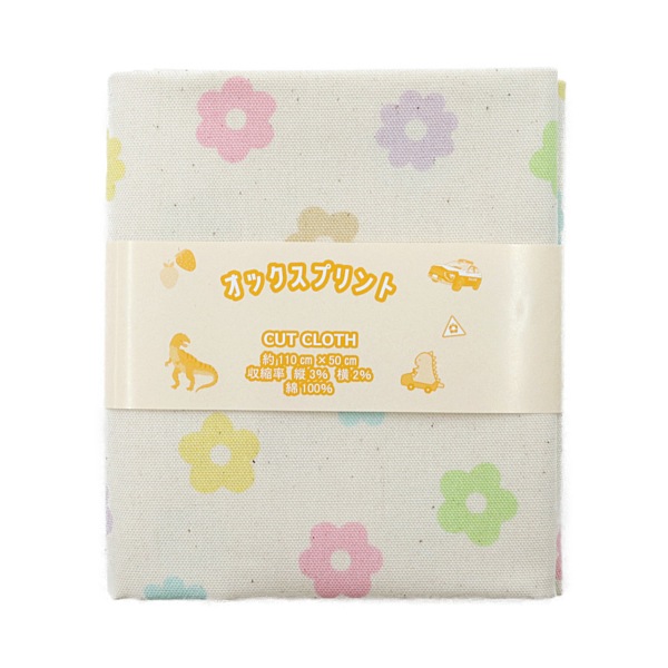 ���� �ե����å��� 2025 �������� ��50cm���åȥ������� DR2409C-9