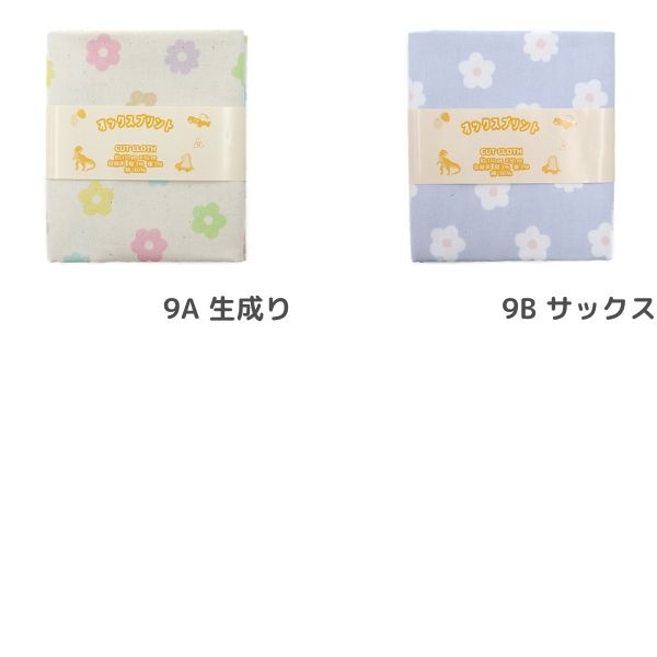 ���� �ե����å��� 2025 �������� ��50cm���åȥ������� DR2409C-9