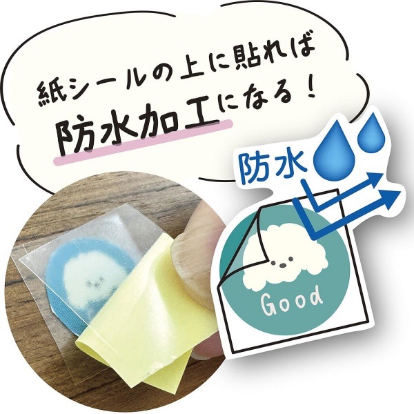 �ѥ��� Ž��롪�ɤ��Ǥ⥷������� ���� 105��148mm 3���� 403464