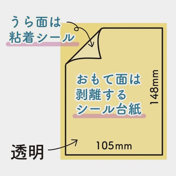 �ѥ��� Ž��롪�ɤ��Ǥ⥷������� ���� 105��148mm 3���� 403464