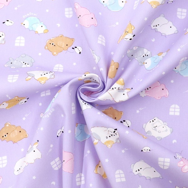 ���� ���˥ޥ륪�å��� 2025 �������� ��50cm���åȥ������� DR2409C-10