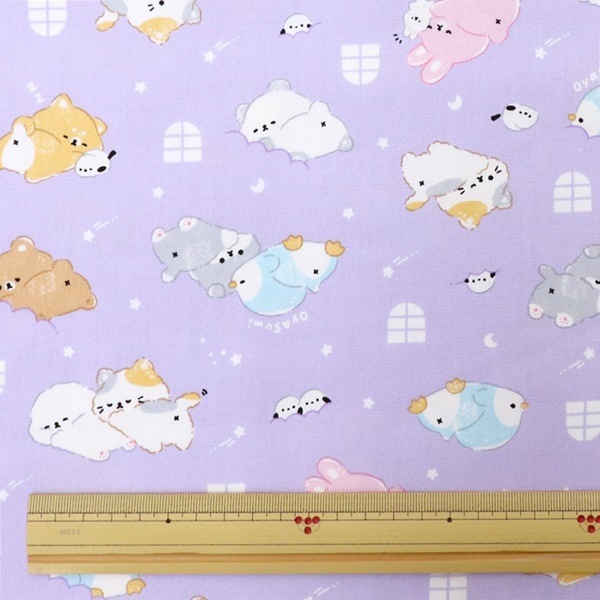 ���� ���˥ޥ륪�å��� 2025 �������� ��50cm���åȥ������� DR2409C-10