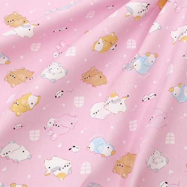 ���� ���˥ޥ륪�å��� 2025 �������� ��50cm���åȥ������� DR2409C-10