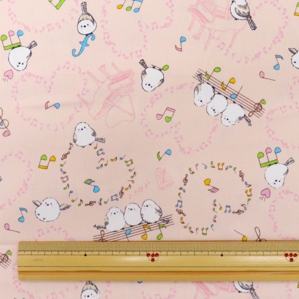 ���� ���ޥ��ʥ����å��� 2026 �������� DR2413-6