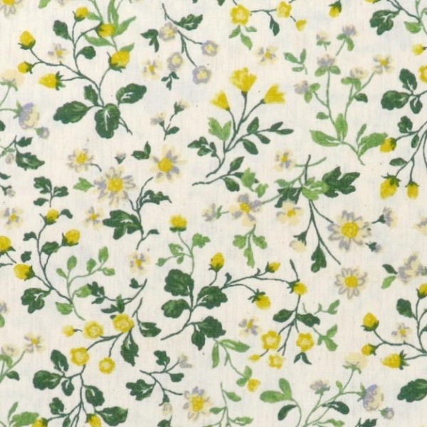 ���� �֥����ɥץ��� ����ƥ������ǥ� �٥꡼�ե�������� �ʥ�����ߥ���ߡ��� 850525 1-2