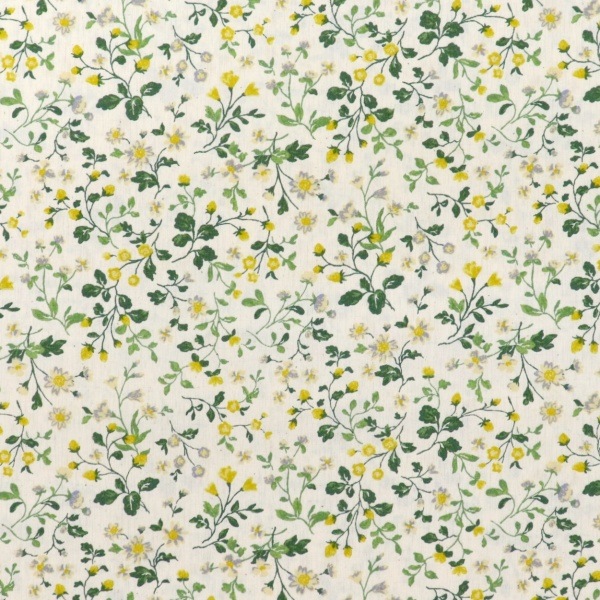 ���� �֥����ɥץ��� ����ƥ������ǥ� �٥꡼�ե�������� �ʥ�����ߥ���ߡ��� 850525 1-2