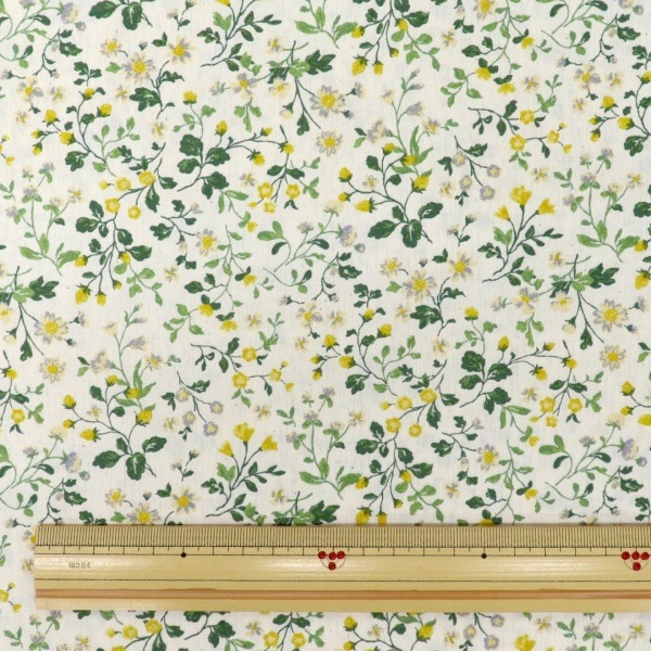 ���� �֥����ɥץ��� ����ƥ������ǥ� �٥꡼�ե�������� �ʥ�����ߥ���ߡ��� 850525 1-2