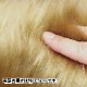 ���� �֥饤�ȥե���