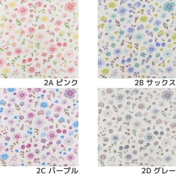 ���� �������������ץ��� DC4750-2