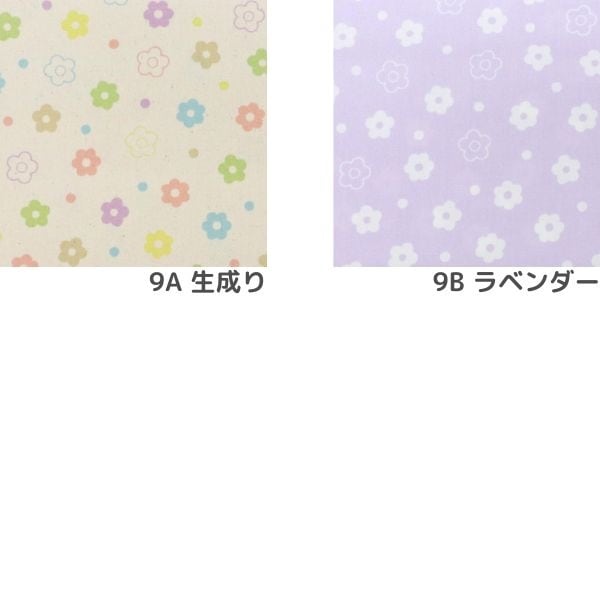 ���� �ե����å��� 2026 �������� DR2413-9