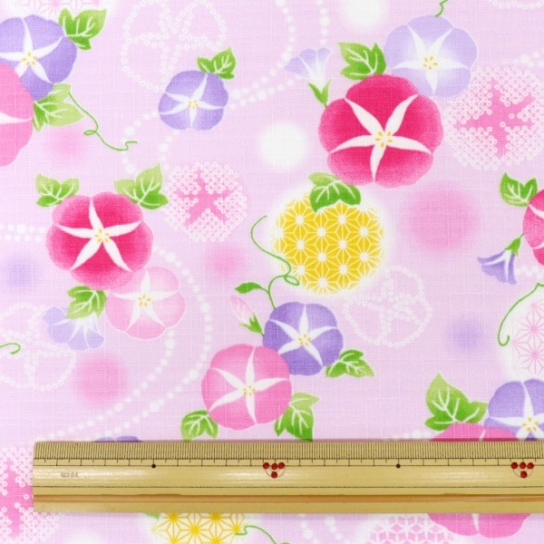 ���� ���������� ī���� DC65101-3