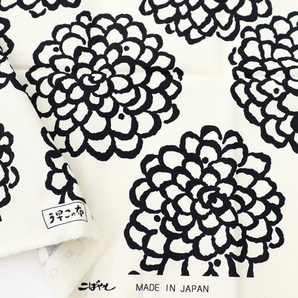  ĥץ ᤳ ꥢ 50cmåȥ UP5540C