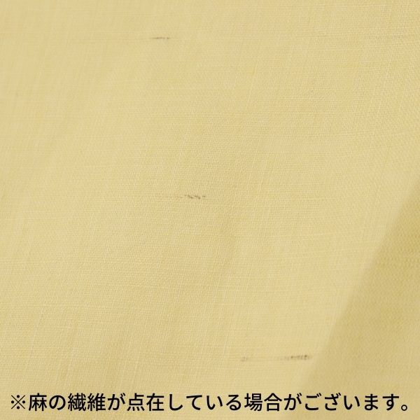 ���� ����ե�����ͥ�