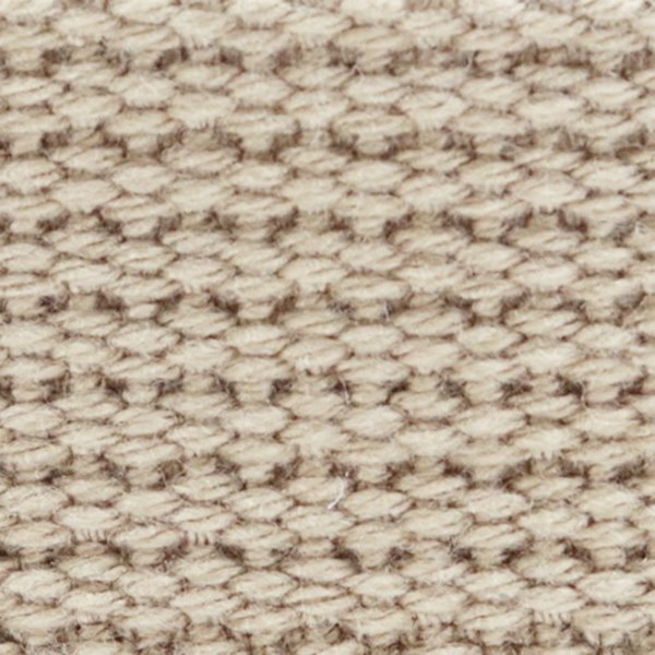 �������ơ��� 25mm�� �����ƥ����顼��50cmñ�̡�