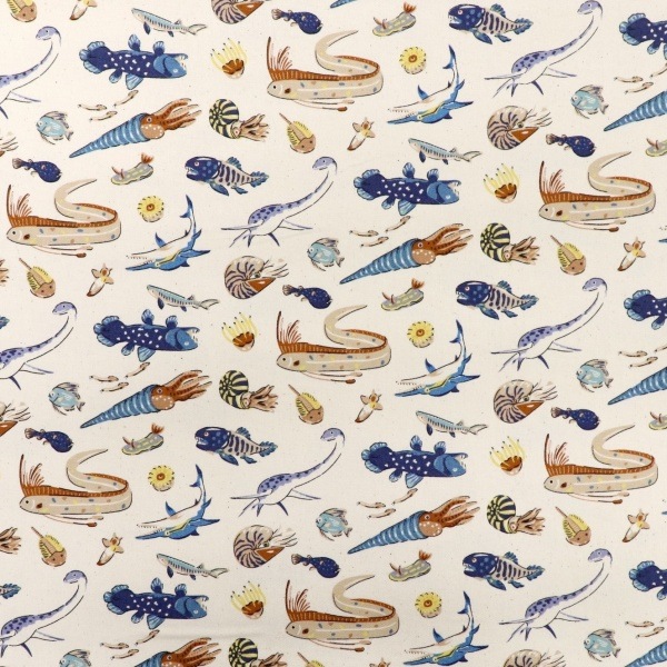 ���� ��������ʪ���å��� 2026 �������� ��50cm���åȥ������� DR2413C-5