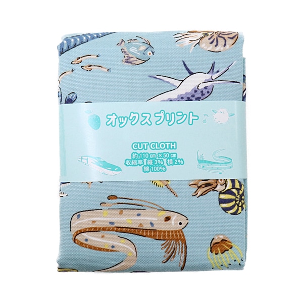 ���� ��������ʪ���å��� 2026 �������� ��50cm���åȥ������� DR2413C-5