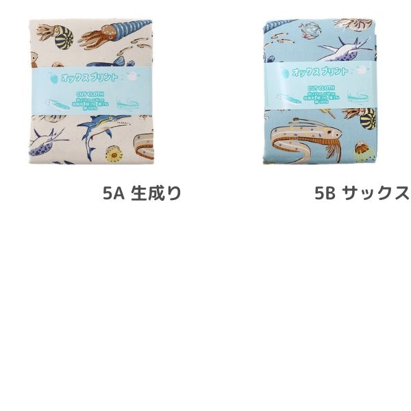 ���� ��������ʪ���å��� 2026 �������� ��50cm���åȥ������� DR2413C-5