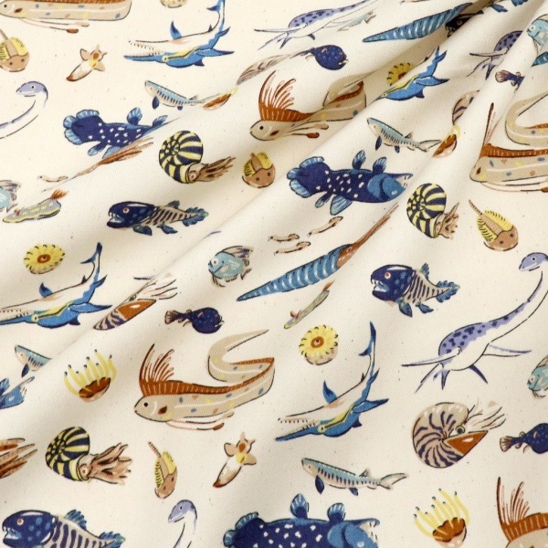 ���� ��������ʪ���å��� 2026 �������� ��50cm���åȥ������� DR2413C-5