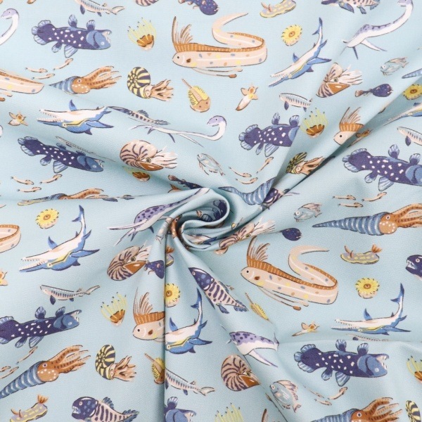 ���� ��������ʪ���å��� 2026 �������� ��50cm���åȥ������� DR2413C-5