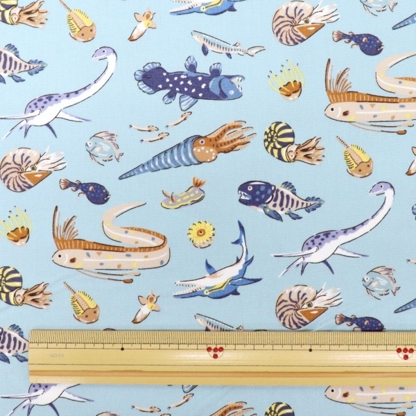 ���� ��������ʪ���å��� 2026 �������� ��50cm���åȥ������� DR2413C-5