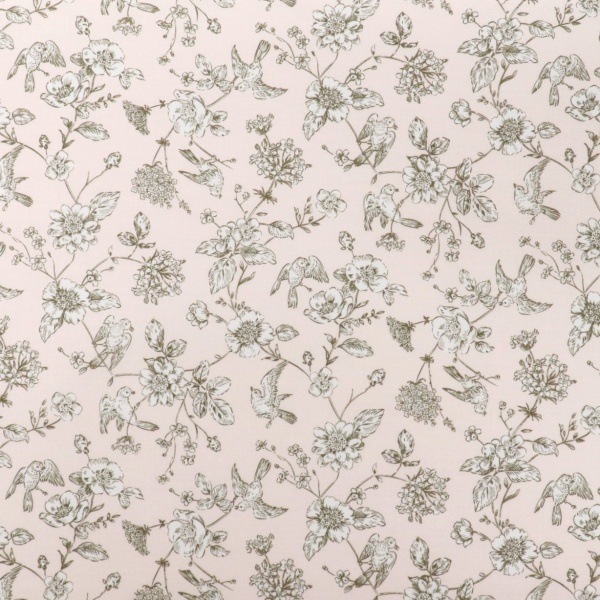  ե եС DC5610-1