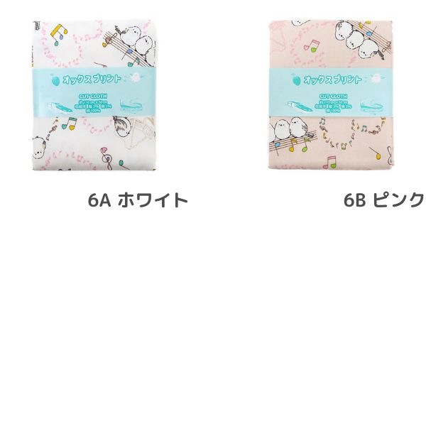 ���� ���ޥ��ʥ����å��� 2026 �������� ��50cm���åȥ������� DR2413C-6