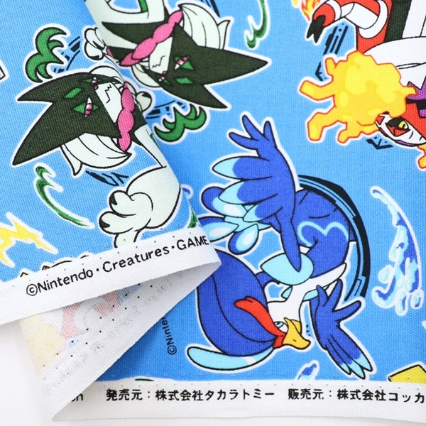 ポケモンセット 6枚 Z/X レヴィーデッキ Z/X ゼクス レヴィー ワールドアバター デッキ