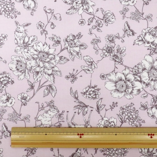 ���� ���������ե� �ե������˥ޥ��� DC5610-2