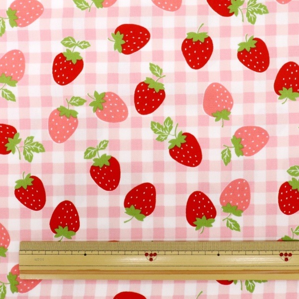 ���� ���������å��� 2026 �������� ��50cm���åȥ������� DR2413C-8