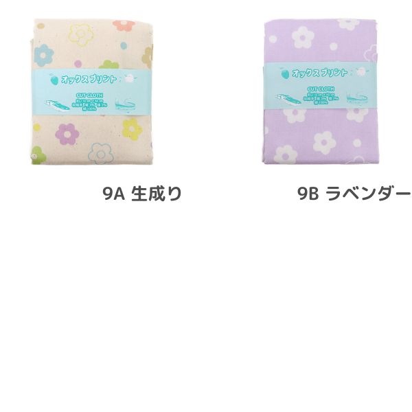 ���� �ե����å��� 2026 �������� ��50cm���åȥ������� DR2413C-9