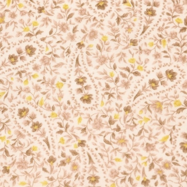 ���� 50�ܥ���ץ��� �ڥ����꡼��